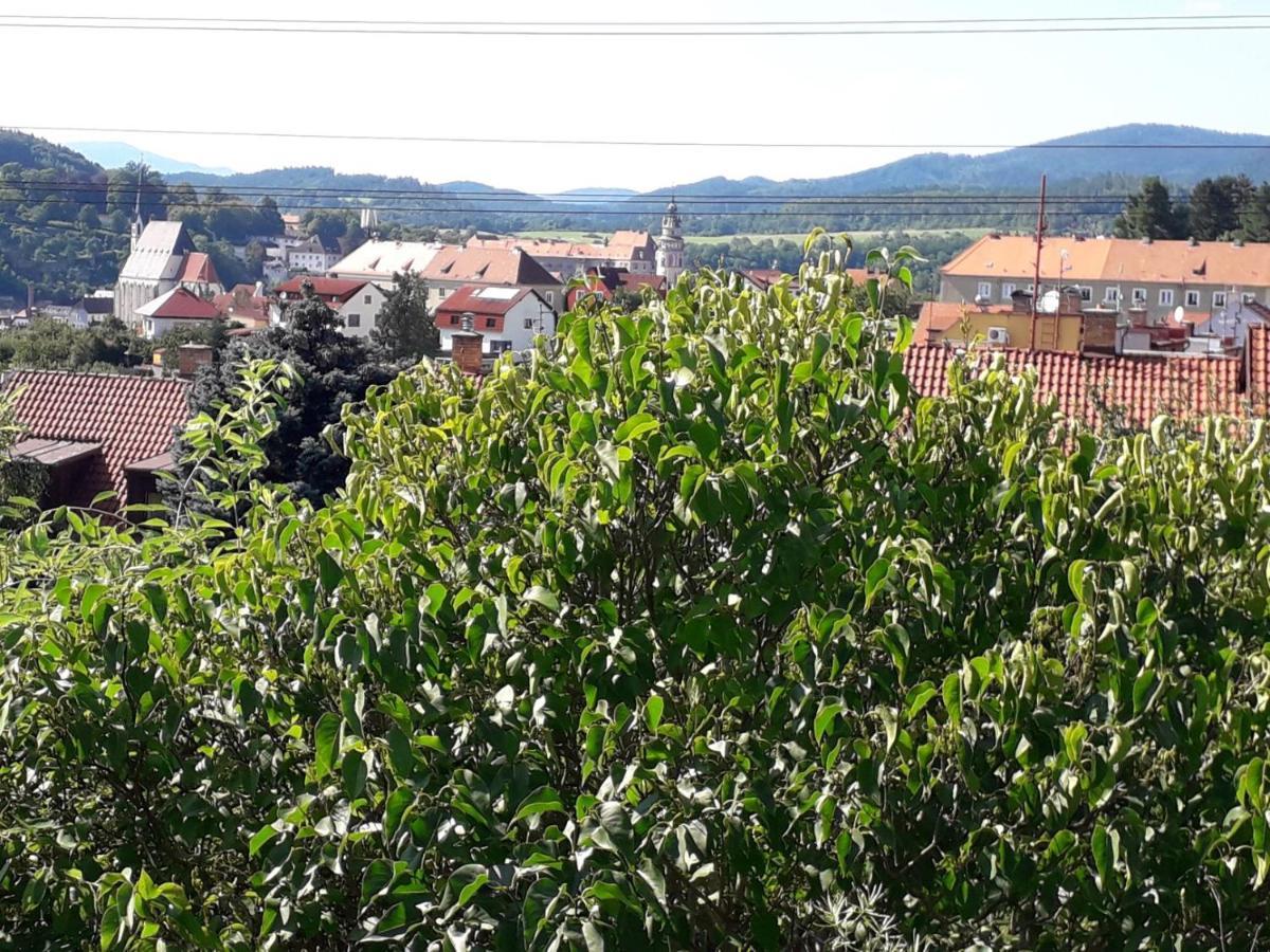Apartman Pod Serikem Český Krumlov Buitenkant foto